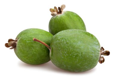 feijoa yolu beyazda izole edildi