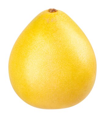 Pommelo yolu beyazda izole edildi