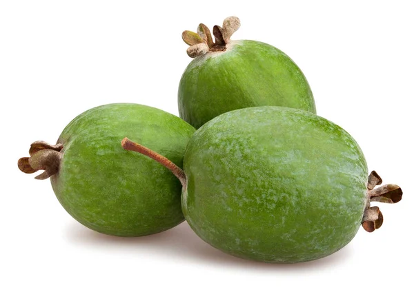 Feijoa Cesta Izolovaná Bílém — Stock fotografie