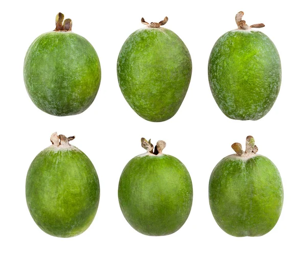 Feijoa Yolu Beyazda Izole Edildi — Stok fotoğraf