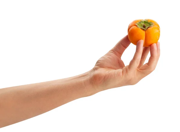 Kinglet Persimmons Hand Path Isolated White — Stock Photo, Image