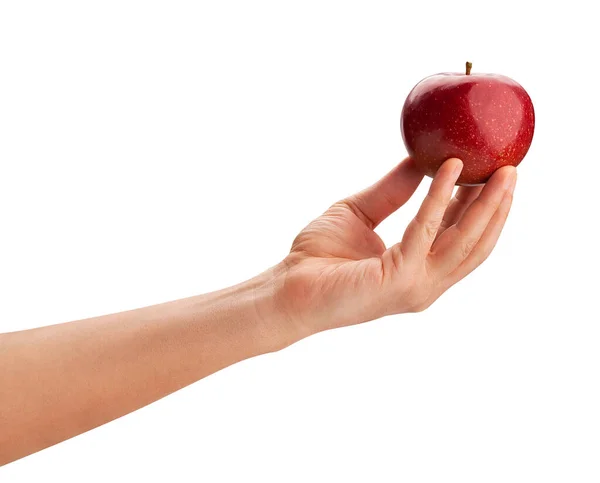 Dark Red Apples Path Hand Isolated White — Stock Photo, Image