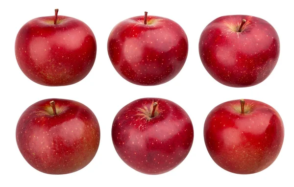 白で隔離された暗赤色のリンゴの道 — ストック写真
