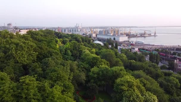 Odessa Ukraina Komercyjny Port Widok Etapy Potemkin — Wideo stockowe