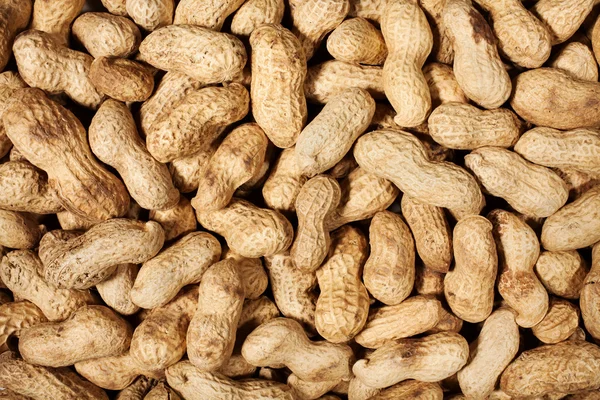 Peanuts viele — Stockfoto