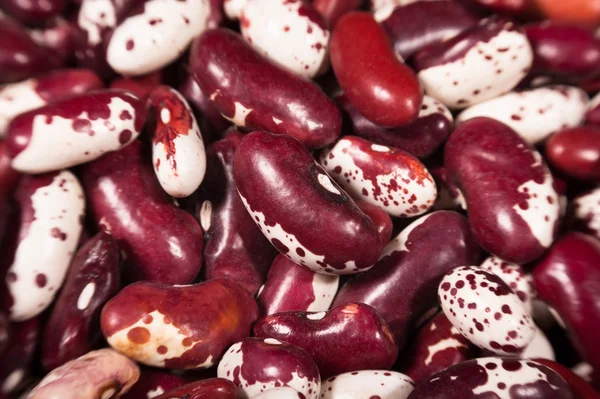 Bönor röda makro — Stockfoto