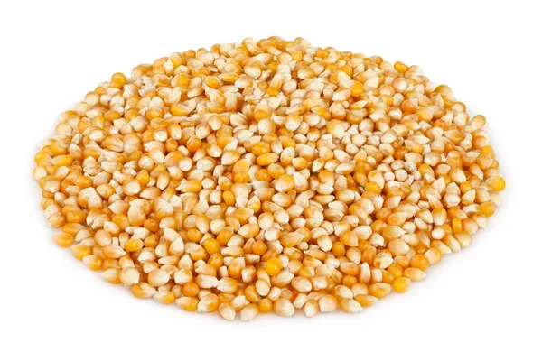 Corn dry kernels heap — Stock Photo, Image