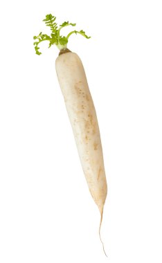 Daikon beyaz