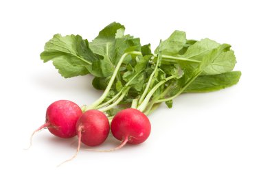 Raddish grubu