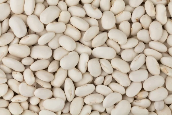 Sfondo legume — Foto Stock