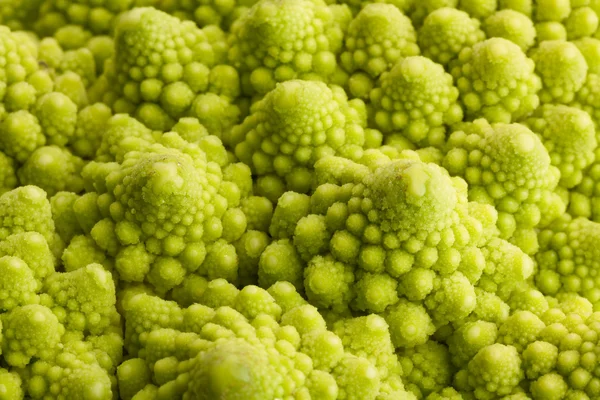 Romanesco kapusta makro — Zdjęcie stockowe