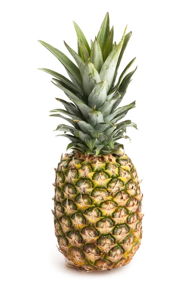 Ananas på vit — Stockfoto