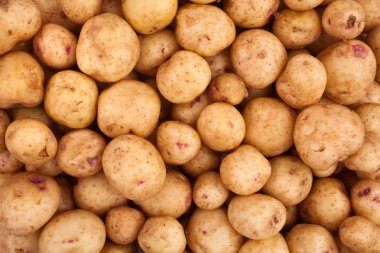 Yeni patates arka plan