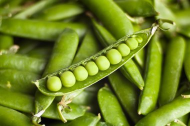 Bir elmanın iki yarısı