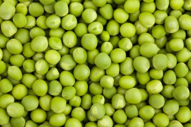 yeşil bezelye arka plan