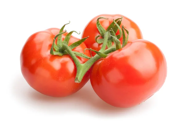 Tomatoes group  isolated — Stock Photo, Image