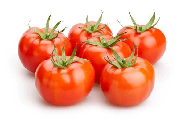 Tomaten-Gruppe isoliert — Stockfoto