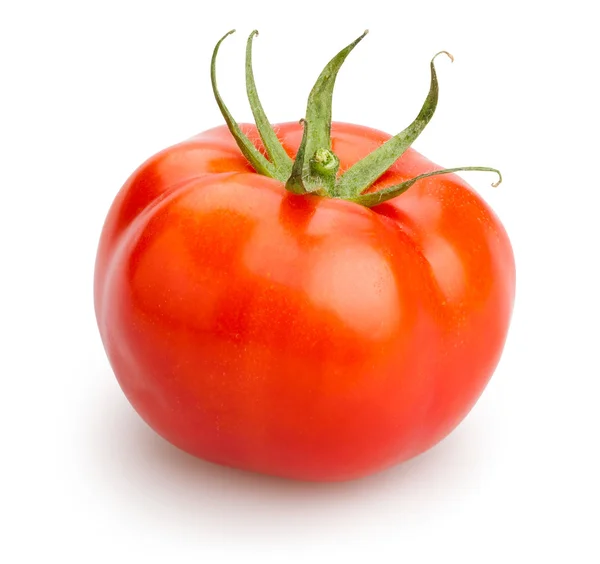 Tomate aislado único — Foto de Stock