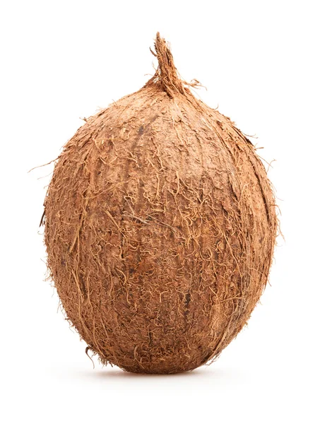Вся кокосового ізольовані — стокове фото