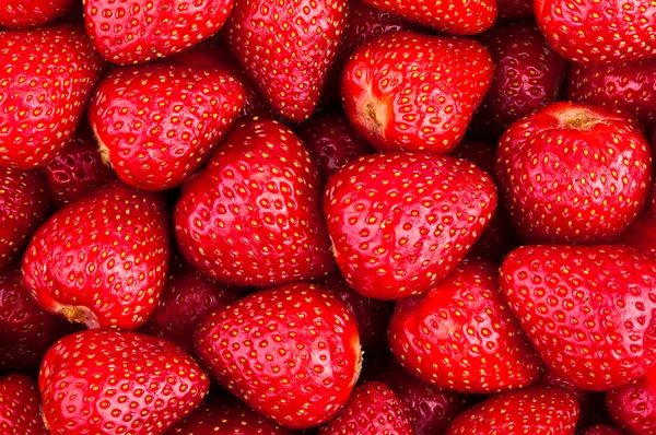 Φράουλες closeup φόντο — Φωτογραφία Αρχείου