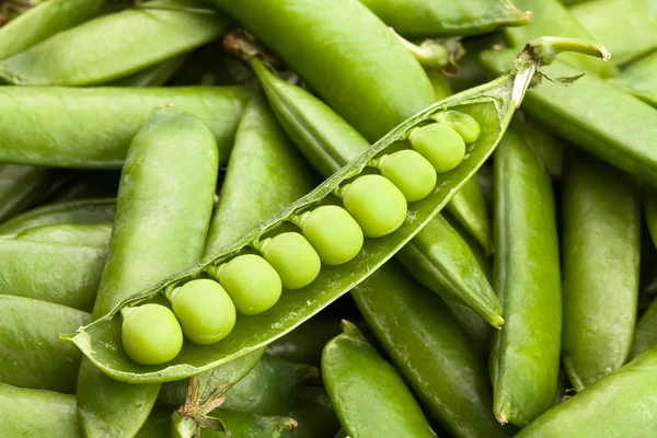 Erbsen in einer Schote — Stockfoto