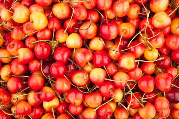 Cerezas fondo primer plano — Foto de Stock