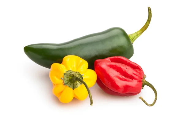 Verschiedene Chilischoten — Stockfoto