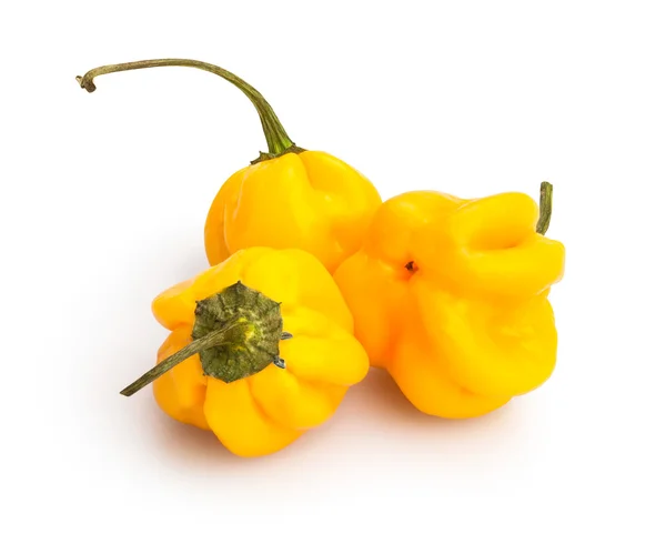 Yellow chili peppers — Stock Photo, Image