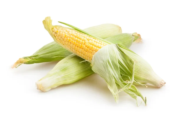 Espigas de milho empilhar — Fotografia de Stock