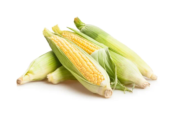 Стек кукурузных початков — стоковое фото