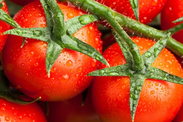 Tomates cherry húmedos — Foto de Stock