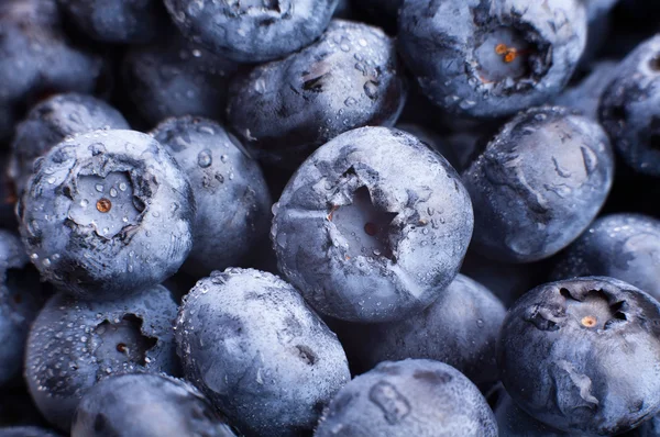 Blaubeeren Hintergrund Nahaufnahme — Stockfoto