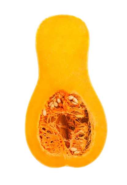 Butternut squash isolated — Stock Photo, Image