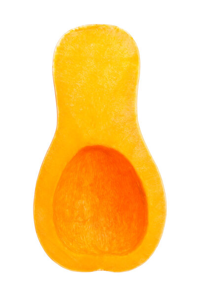 Butternut squash isolated