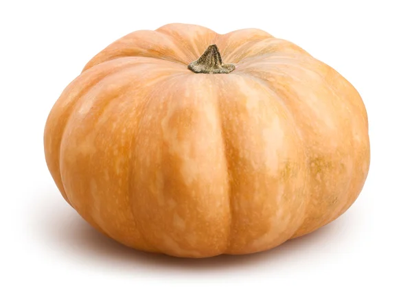 Zucca isolata su bianco — Foto Stock