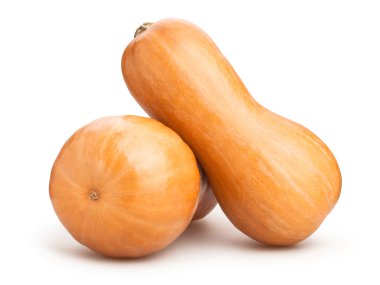 Butternut squashes isolated