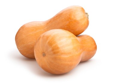 Butternut squashes isolated