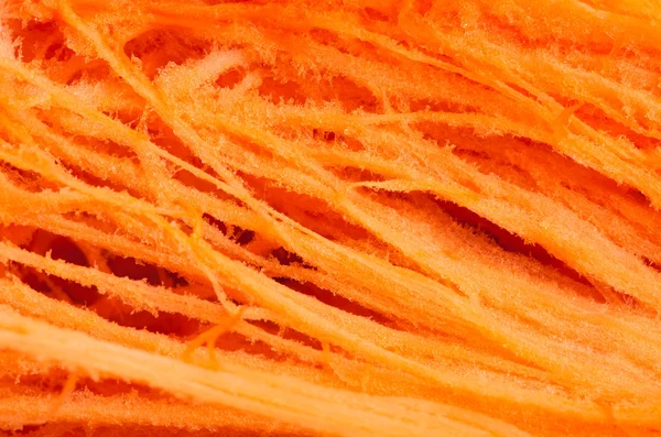 Pumpkin fiber macro closeup — Stock Photo, Image