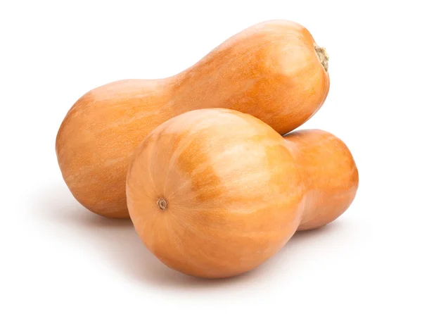 Butternut squashes isolated — Stockfoto