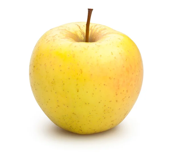 Celý žlutý jablko — Stock fotografie