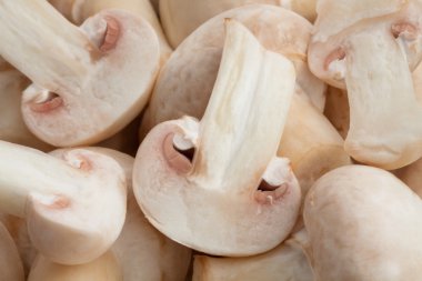 taze mantar arka plan