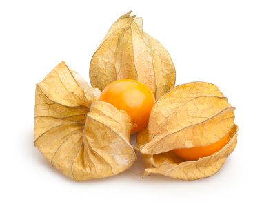 Physalis grubunun yakın çekim