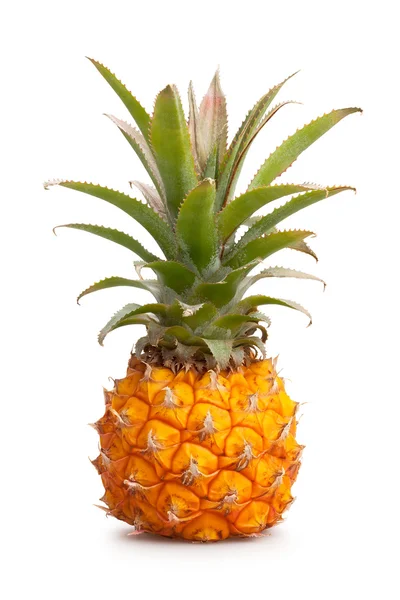 Close-Up bebek ananas