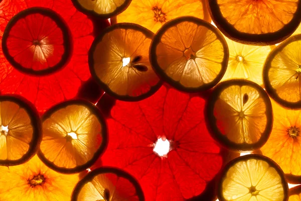 Fresh citrus slices — Stock Photo, Image