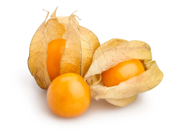 Primer plano del grupo physalis — Foto de Stock