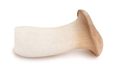 Kral istiridye mantarı yolu beyazda izole edilmiş.