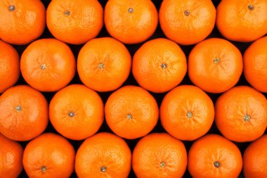 mandalina kiremit doku