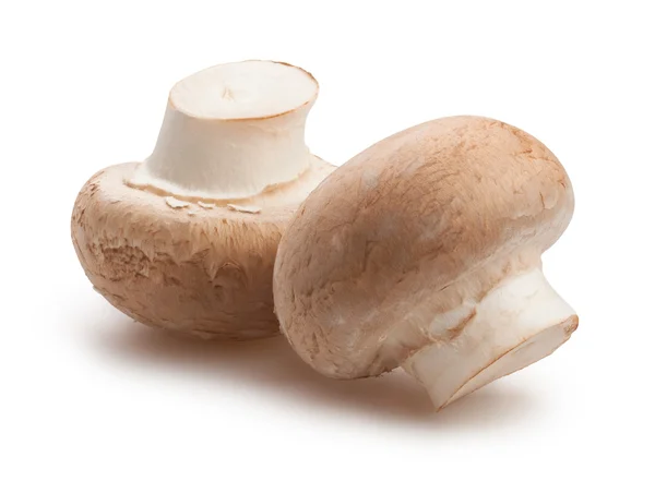 Lekkere rijpe paddestoelen — Stockfoto