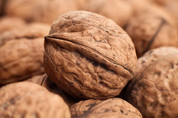 Rijpe heerlijke walnoten — Stockfoto