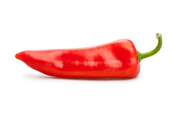 Reife rote Paprika — Stockfoto